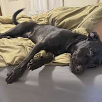 Thumbnail photo of Libby #2