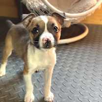 Thumbnail photo of PJ #2