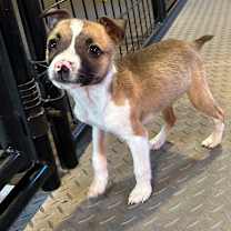 Thumbnail photo of PJ #4