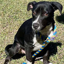 Thumbnail photo of Barbie #1