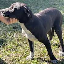 Thumbnail photo of Barbie #3