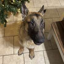 Thumbnail photo of Sam #2