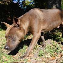 Thumbnail photo of Skittles #2