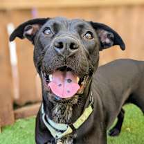 Thumbnail photo of Billie Jean #1