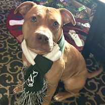 Thumbnail photo of Sara #1