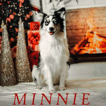 Thumbnail photo of Minnie #1