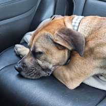 Thumbnail photo of Mulligan #3