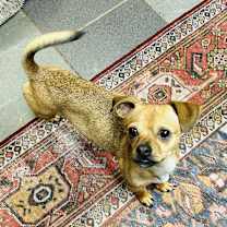 Thumbnail photo of Moni #4