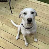 Thumbnail photo of Yumi Okada #3