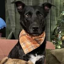 Thumbnail photo of Whittaker #1