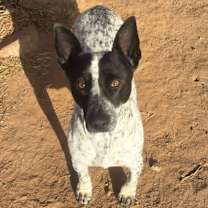 Thumbnail photo of Kendall #4