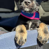 Thumbnail photo of Sour #2