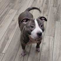 Thumbnail photo of River #3