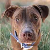 Thumbnail photo of Leonard #3