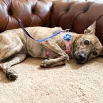 Thumbnail photo of Leona #2