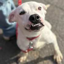 Thumbnail photo of Finn #2