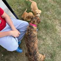 Thumbnail photo of Hazel #4