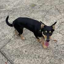 Thumbnail photo of Ready #2