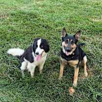 Thumbnail photo of Ready #3