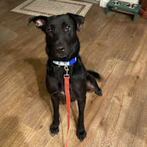 Thumbnail photo of Charlotte #2