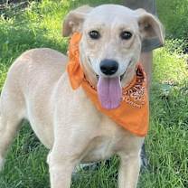 Thumbnail photo of Maggie #2