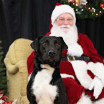 Thumbnail photo of Ferris #1