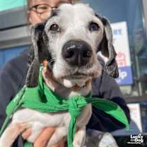 Thumbnail photo of Elroy #2