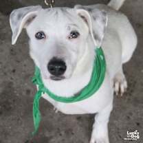 Thumbnail photo of Niko #1