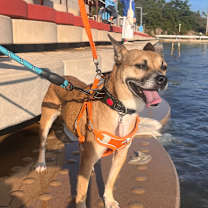 Thumbnail photo of Klein #1