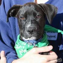 Thumbnail photo of Tyrone #1