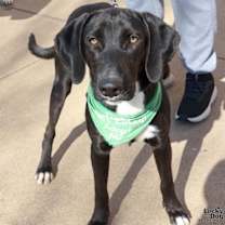 Thumbnail photo of Sebastian #1