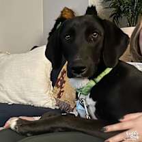 Thumbnail photo of Sebastian #3