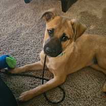 Thumbnail photo of Mako #2