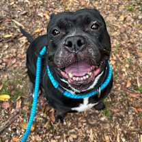 Thumbnail photo of Gorda #2