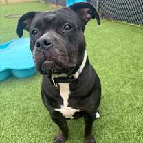 Thumbnail photo of Gorda #3