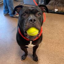 Thumbnail photo of Gorda #4