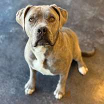 Thumbnail photo of Delilah #3