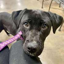 Thumbnail photo of Charlotte #4