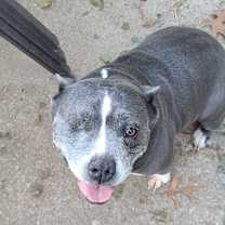 Thumbnail photo of Tabitha #4