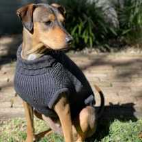 Thumbnail photo of Frito Bandito #1