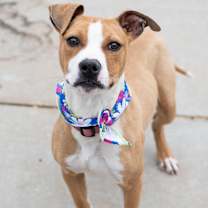 Thumbnail photo of Zion #2