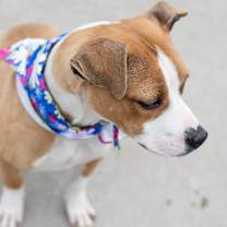 Thumbnail photo of Zion #4