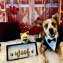 Thumbnail photo of Leo #1