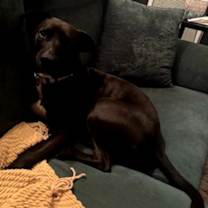 Thumbnail photo of Shoes #2