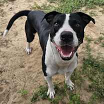 Thumbnail photo of J.D. #1