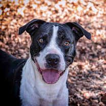 Thumbnail photo of J.D. #2