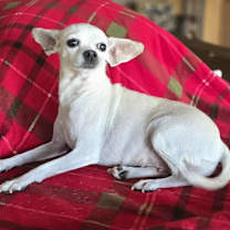 Thumbnail photo of Faye #2