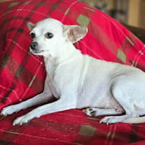 Thumbnail photo of Faye #3