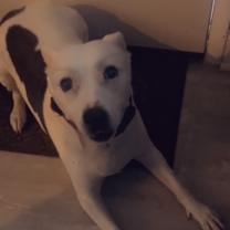 Thumbnail photo of Mya #3