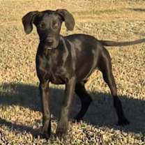 Thumbnail photo of Haven #3